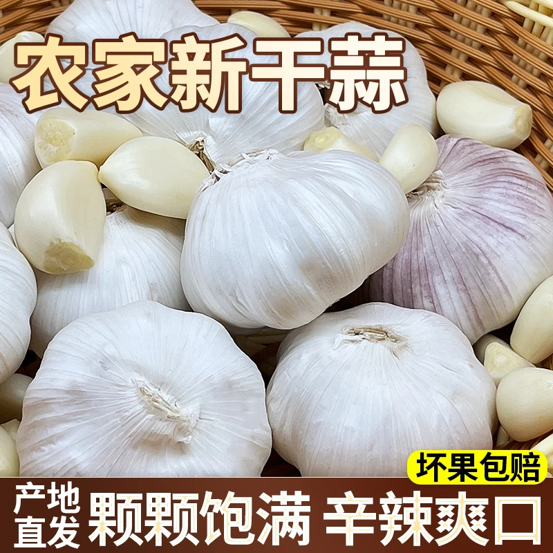 【农家土大蒜】农家自种紫白皮大蒜新干蒜可种大蒜头蔬菜手工挑选