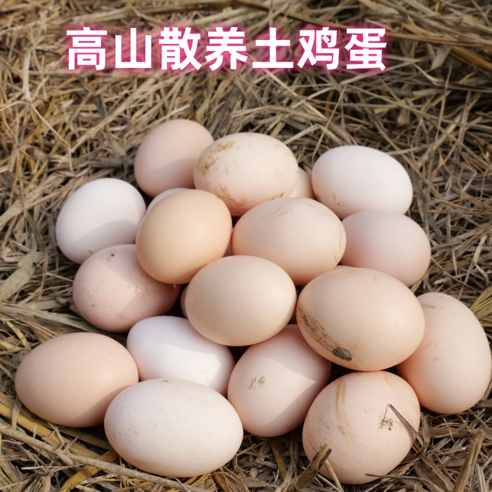 黄山高山跑山鸡散养正宗土鸡蛋精选初生蛋 44g以下