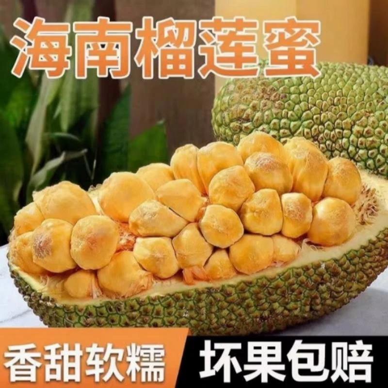 [确认生熟再食用]三亚正宗榴莲蜜热带新鲜水果软糯香甜湿苞2-12斤