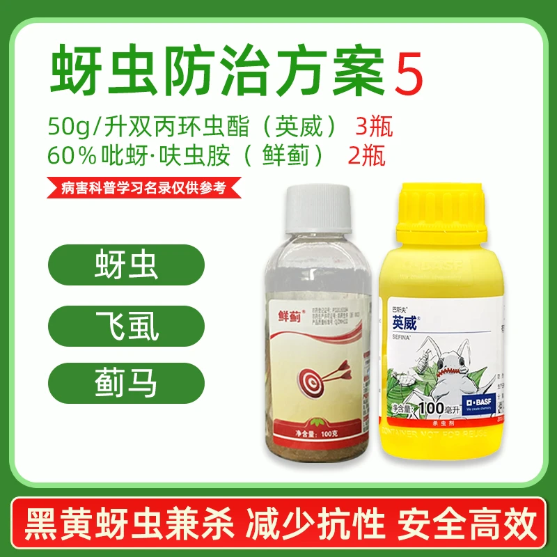 鲜蓟比亚呋虫胺英威双丙环虫酯黄黑蚜虫防治方案农药800斤水