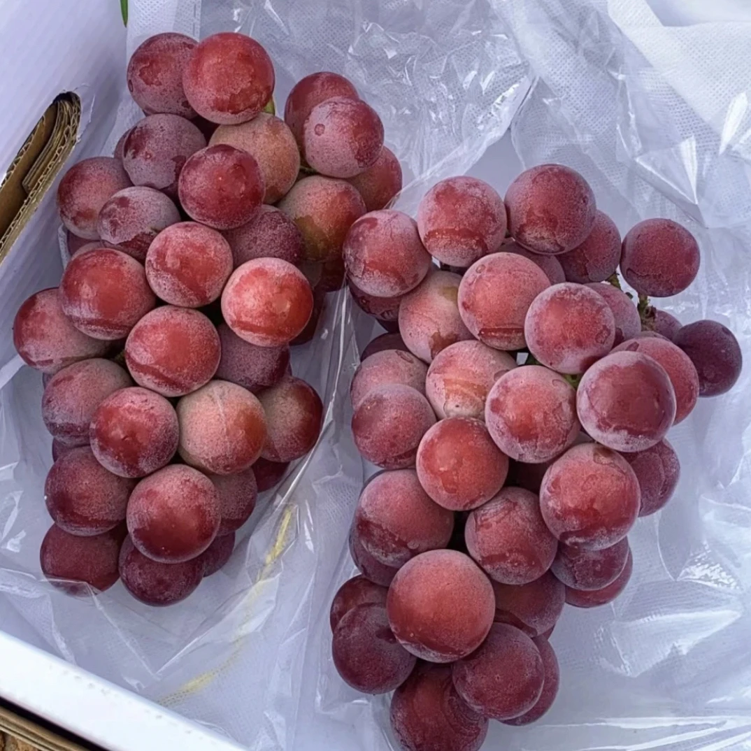 妮娜皇后葡萄 纯甜口无果酸带红酒味