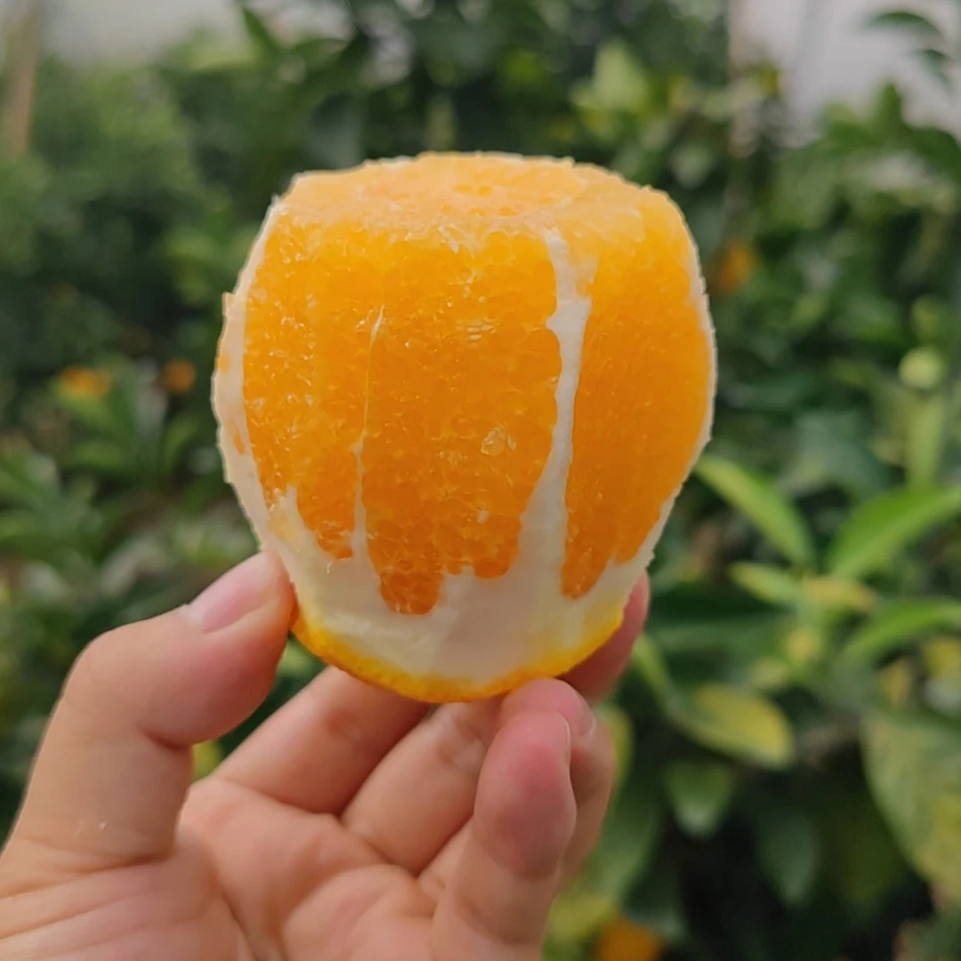 江西赣南脐橙正宗寻乌甜橙子当季孕妇新鲜水果农家现摘现发10斤