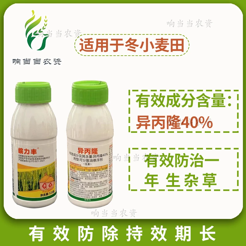 40%异丙隆燕麦看麦娘马唐罔草麦田一年生杂草冬小麦苗后除草剂