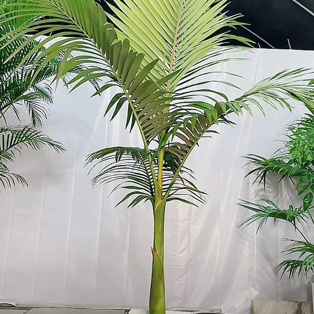 680热带风情#圣诞椰子树#庭院#客厅#阳台