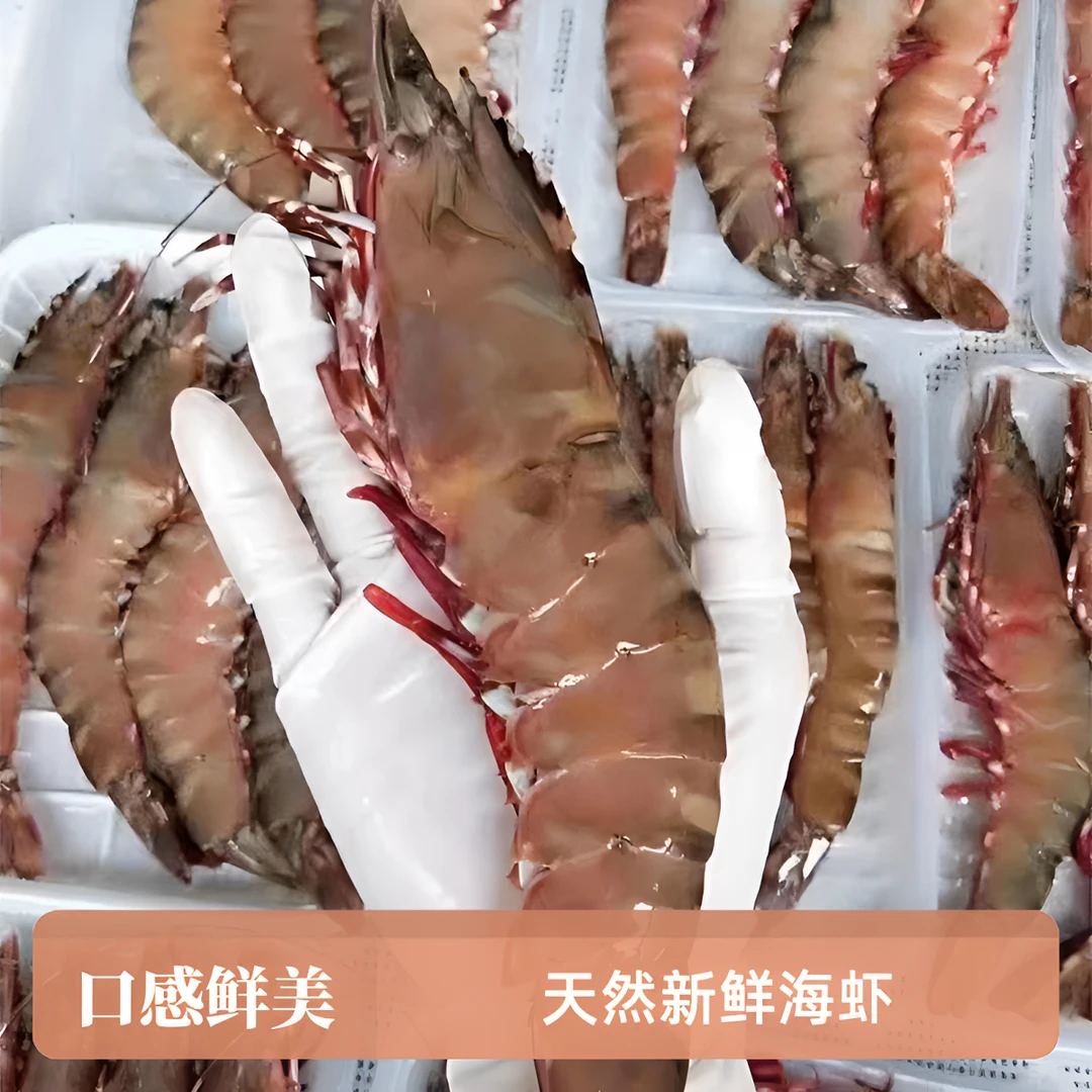 广东神泉渔港码头海鲜黑虎虾红爪虎虾老虎虾天然新鲜海虾（一