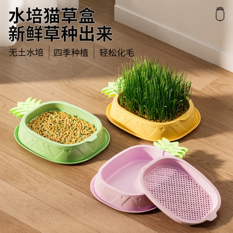 平替好物【水培】化毛球新鲜健康营养宠物排毛猫咪排毛产品猫草盆栽