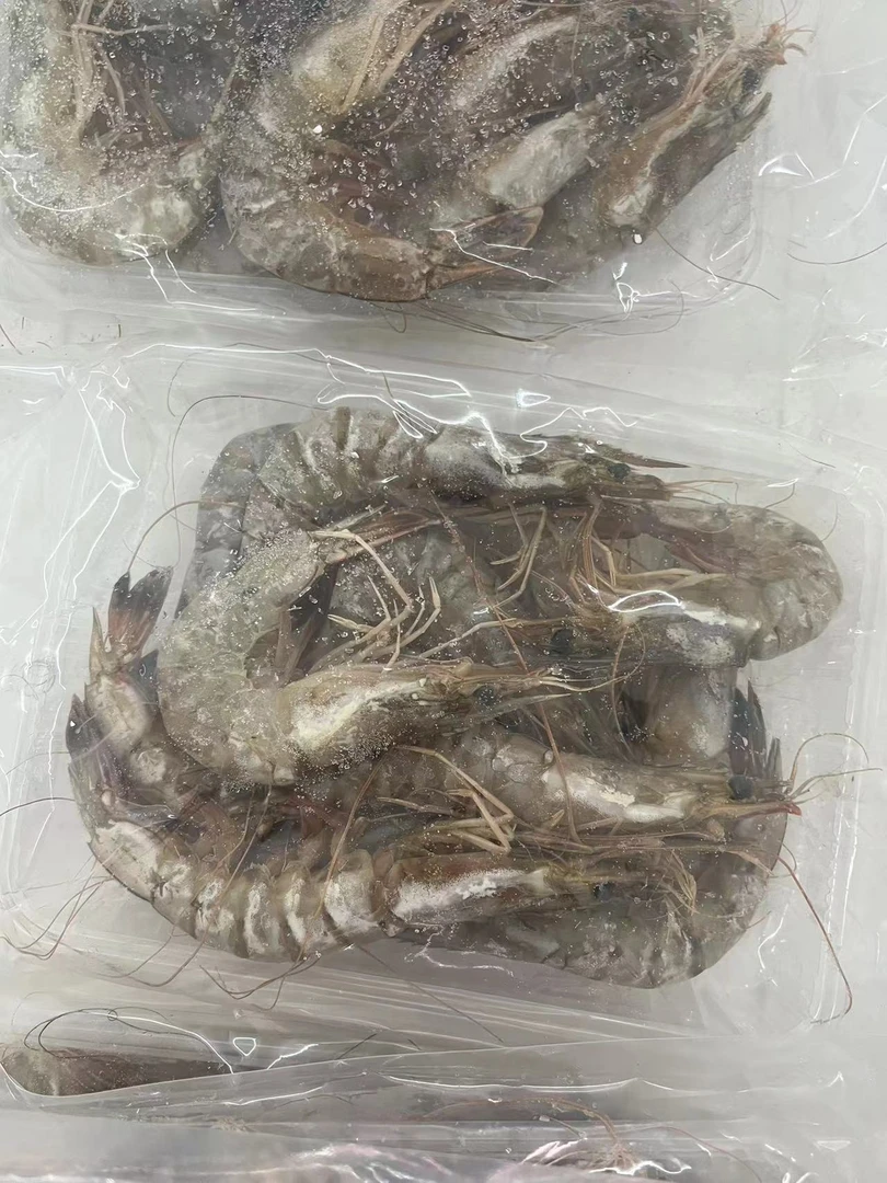 【冻品 野生海捕大虾】野生大对虾