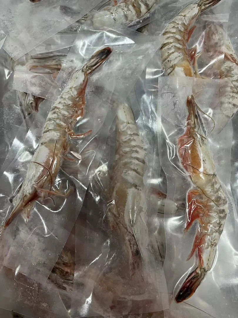 【活冻海捕野生大对虾】活冻虾