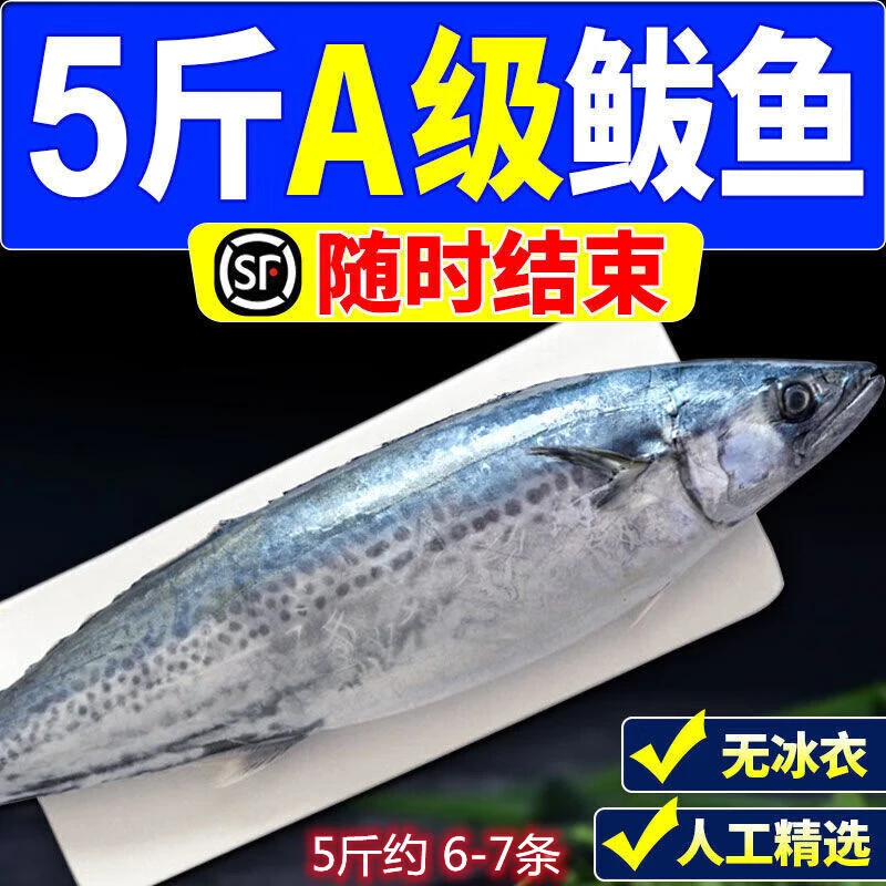 5斤海捕鲜活小鲅鱼新鲜马鲛鱼整条冷冻海捕深海鱼海鲜水产批发