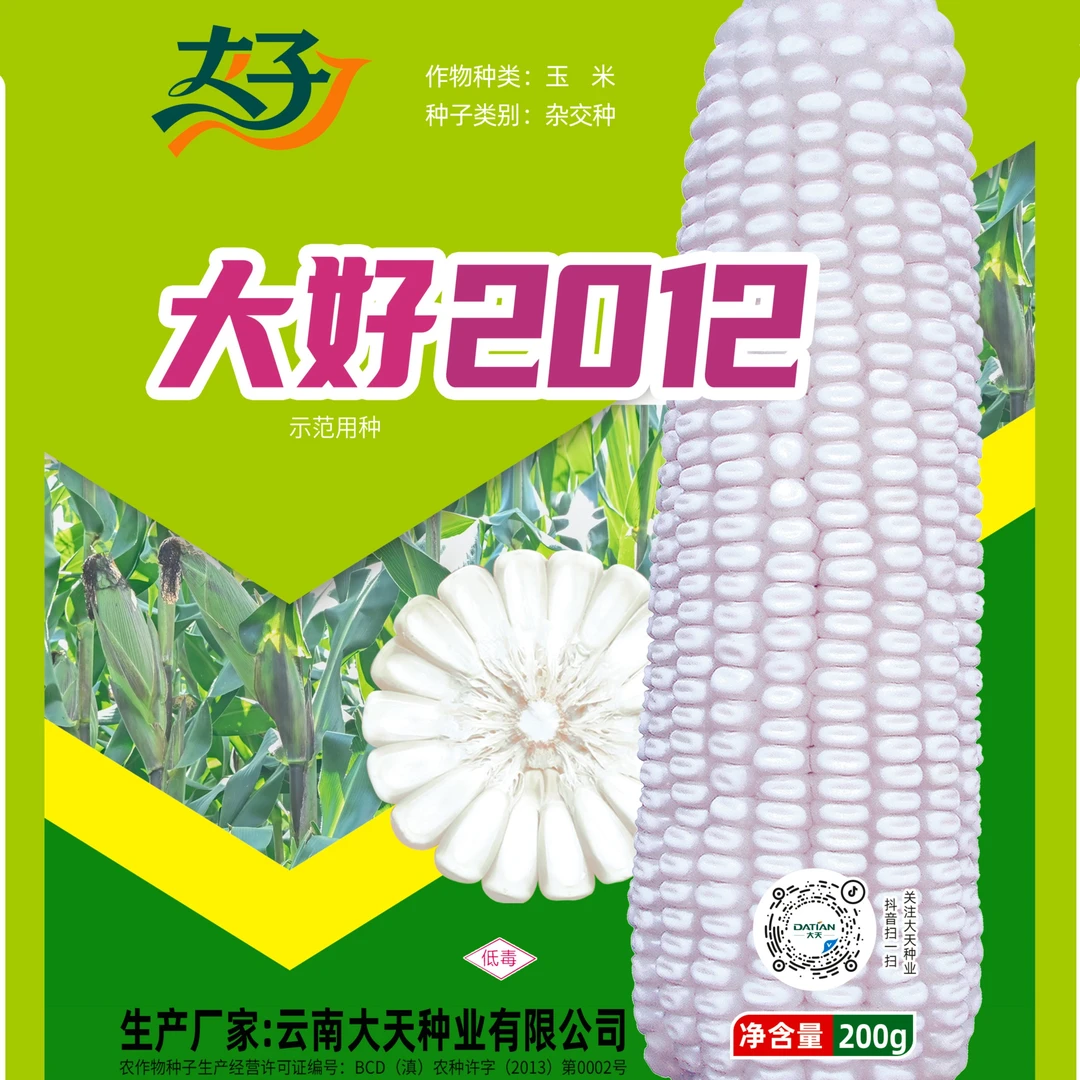 大好2012白粒玉米种子