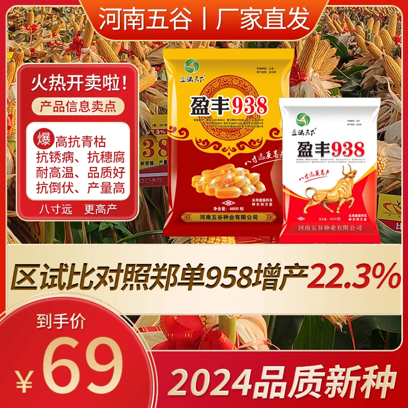 盈丰938高产玉米种抗锈耐旱增产抗倒伏助农4600粒农业生物耐高温