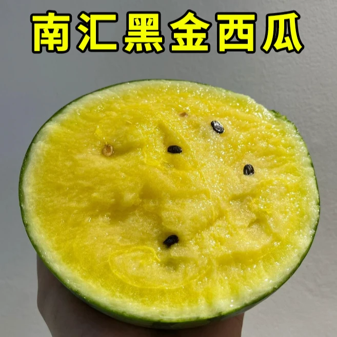 上海南汇黑金西瓜2只装头茬黑津西瓜脆甜顺丰送货上门