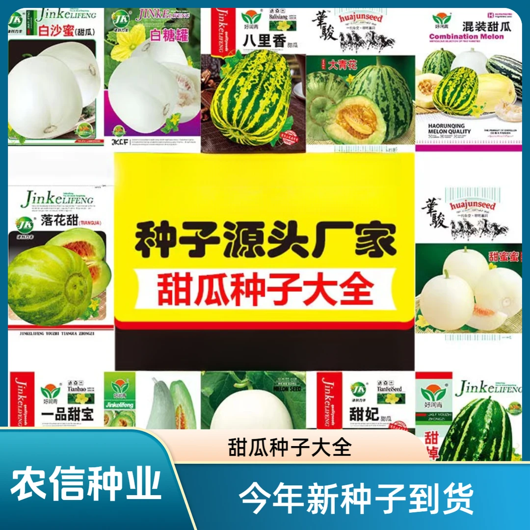 【满五包包邮】甜瓜冰糖甜瓜种子花皮甜瓜种籽四季水果种子