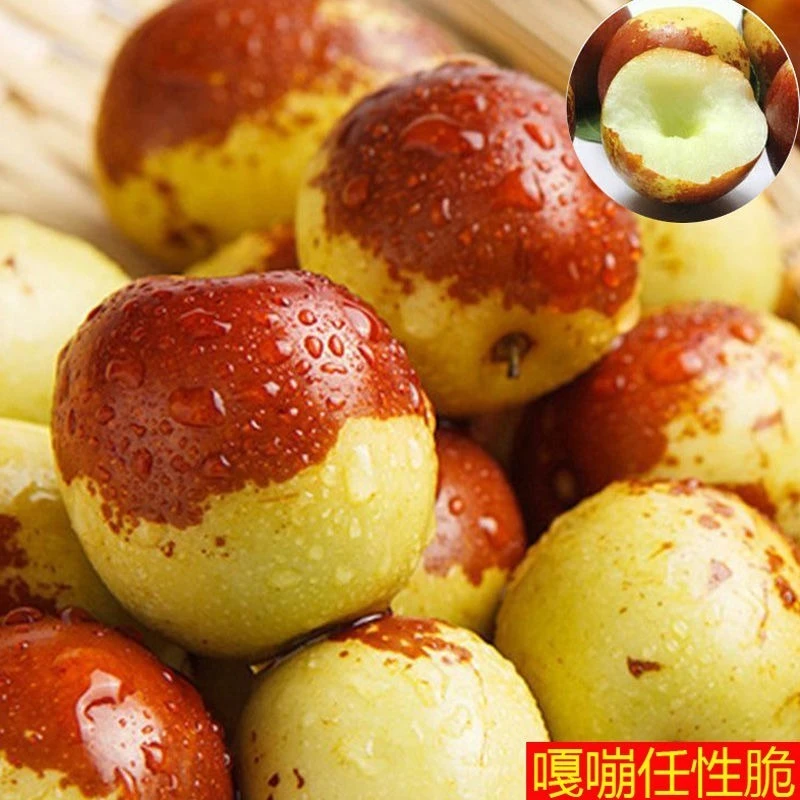 枣府正宗沾化二代冬枣冰糖冬枣果园现摘新鲜应季水果
