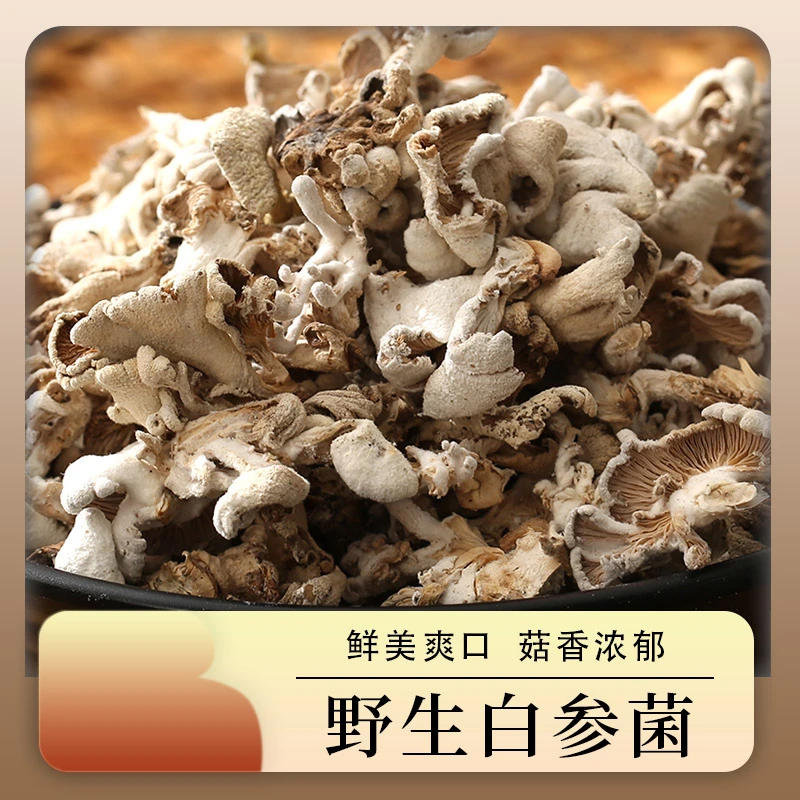 云南德宏白参菌农家特产250克白参食用农产品