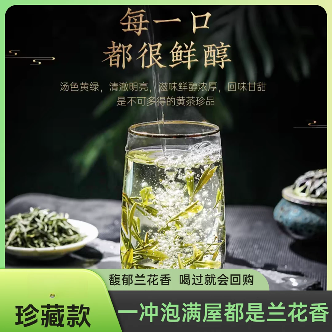 【五千元级高货】馥郁兰花香黄芽茶2025明前头采手工精制品质