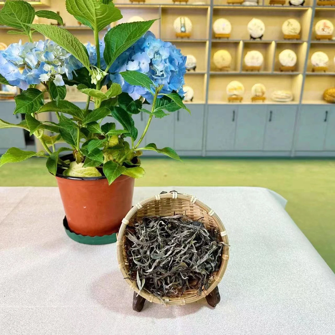 【 生茶】2025【弯弓白石山单株】头春头采普洱茶散茶