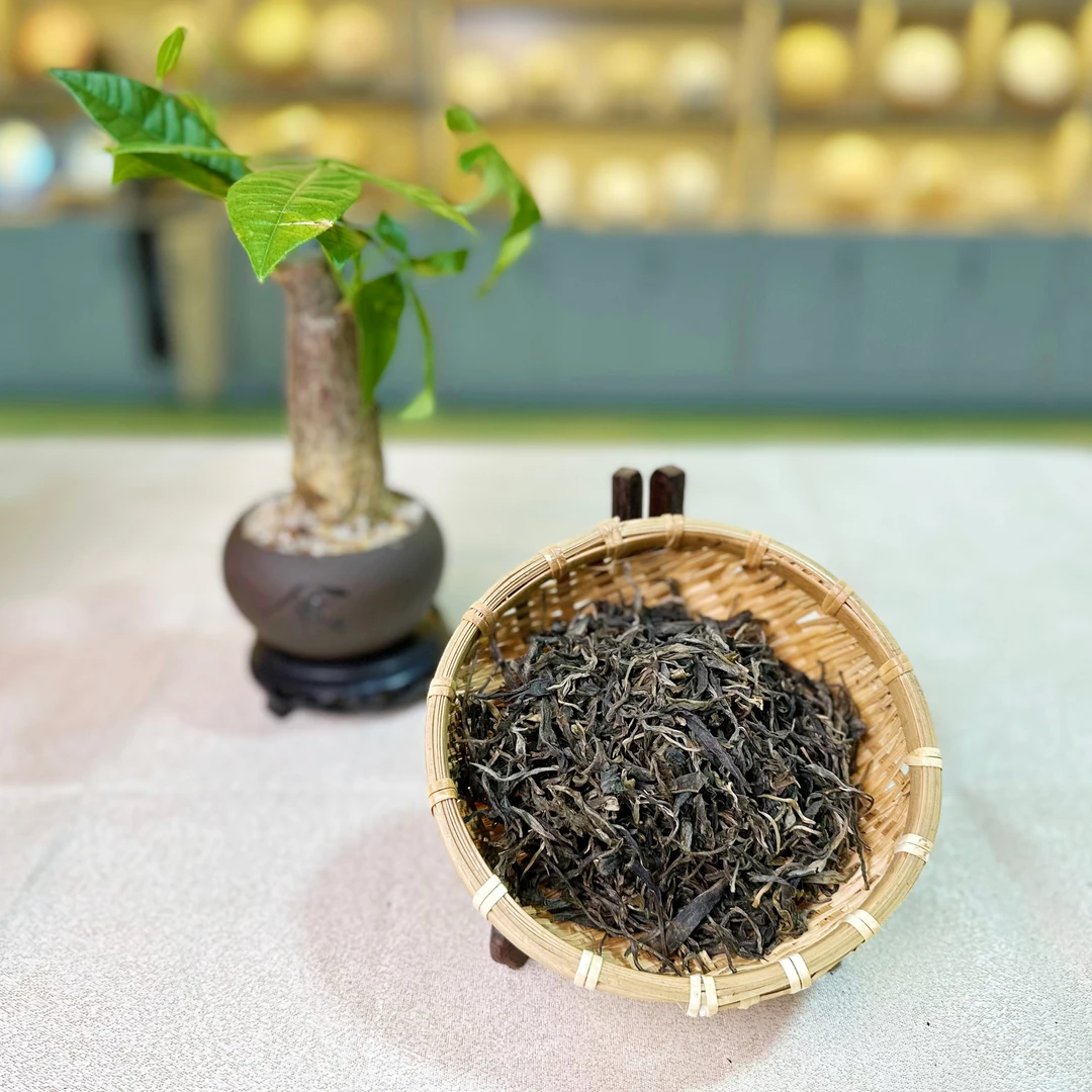 【冰岛老寨古树 】2025年普洱茶生茶 散茶