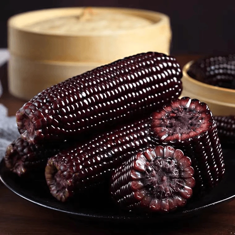 黑糯玉米8根装 新鲜采摘甜糯玉米