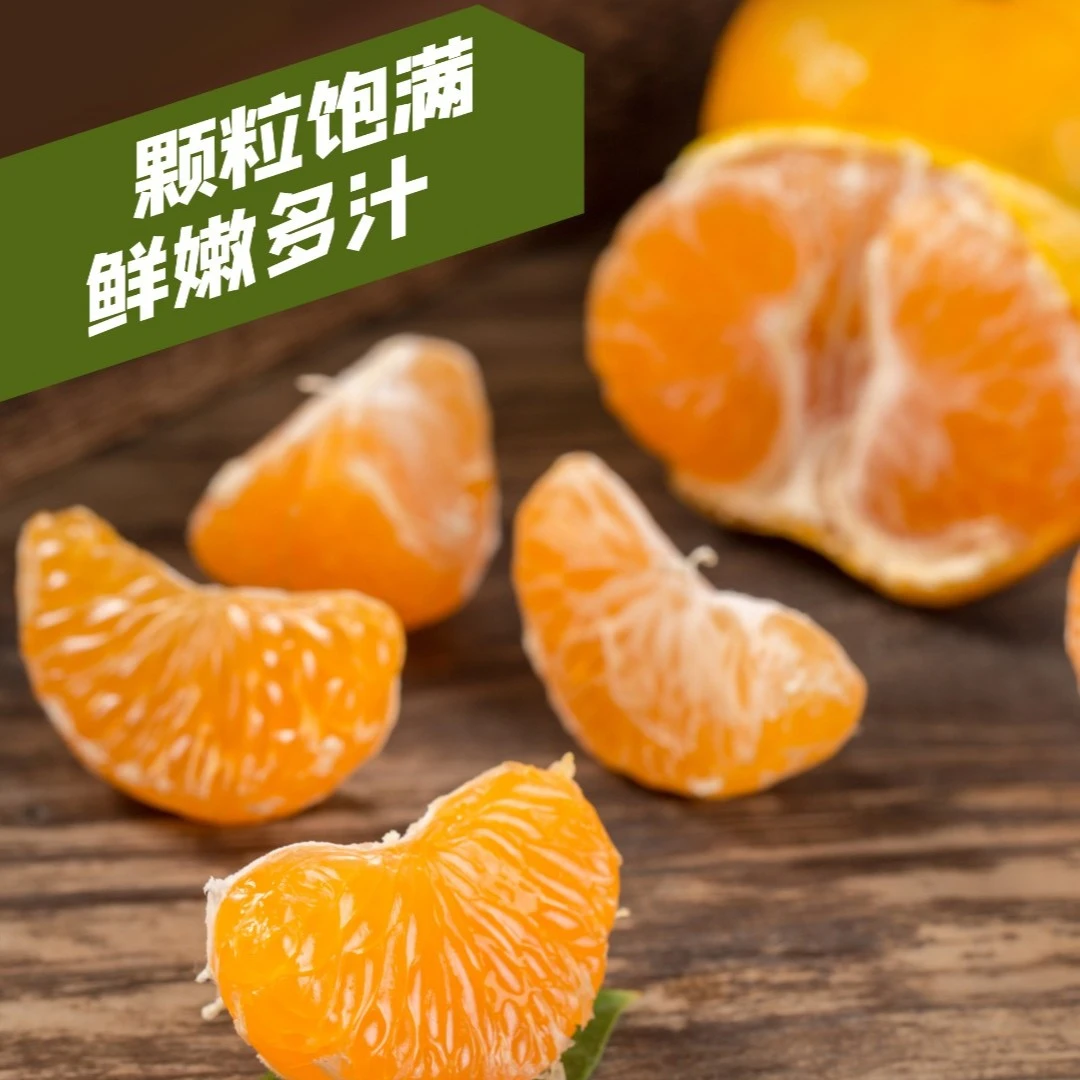 福建特产永春芦柑当季新鲜桔子现摘现寄5-10斤橘子鲜嫩多汁