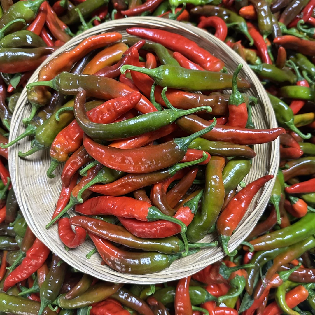 【辣美椒一号红椒】 高辣花明楼辣美椒甜  脆香辣 炒生一点