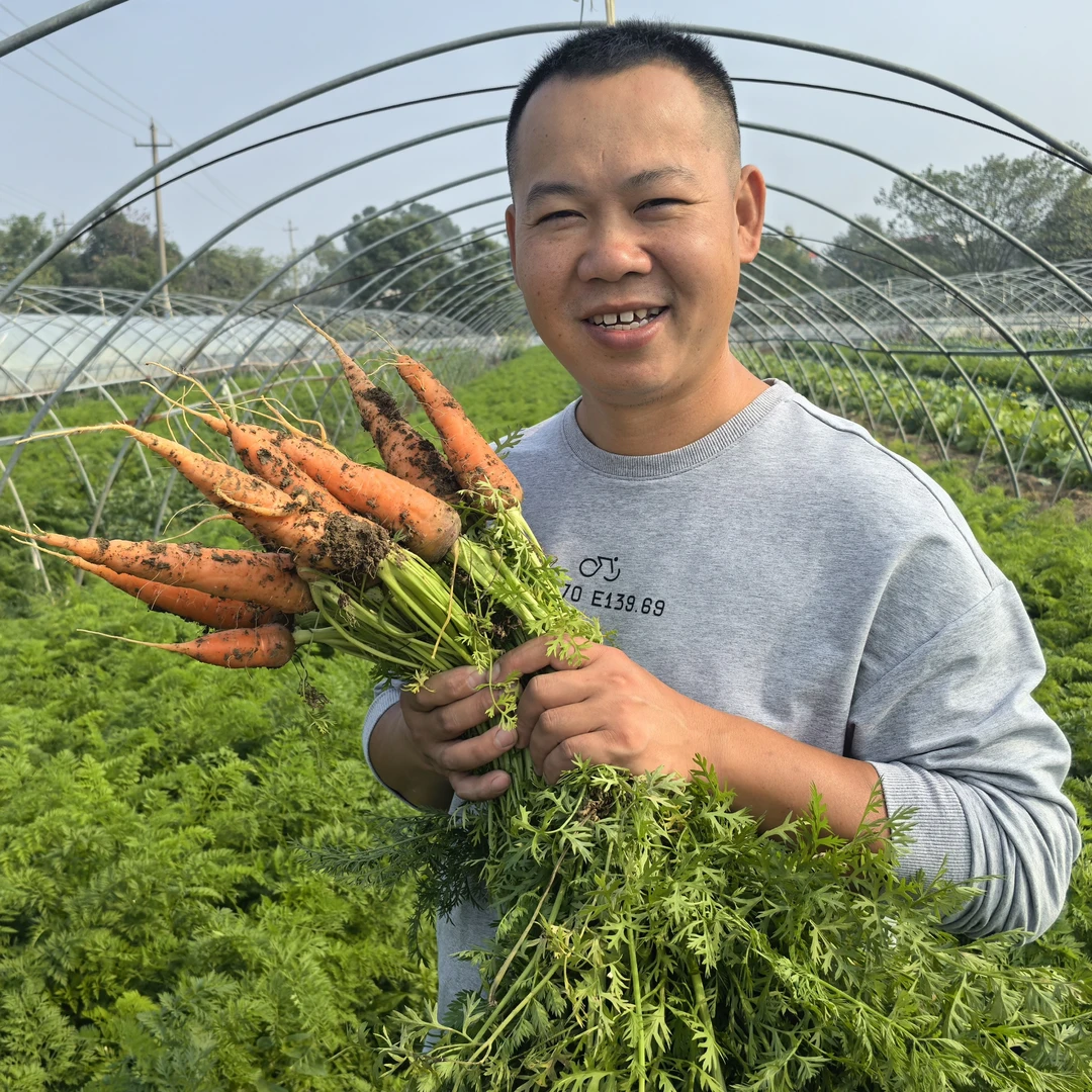 红萝卜【肖胜蓝农场】 湖南长沙 辣美椒甜自产