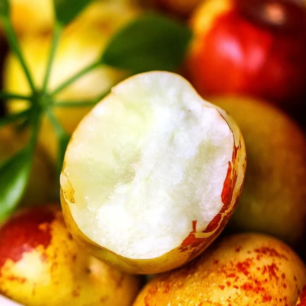 【现摘现发】临猗庙上新鲜采摘冬枣2~5斤酥脆香甜冰糖冬枣鲜枣