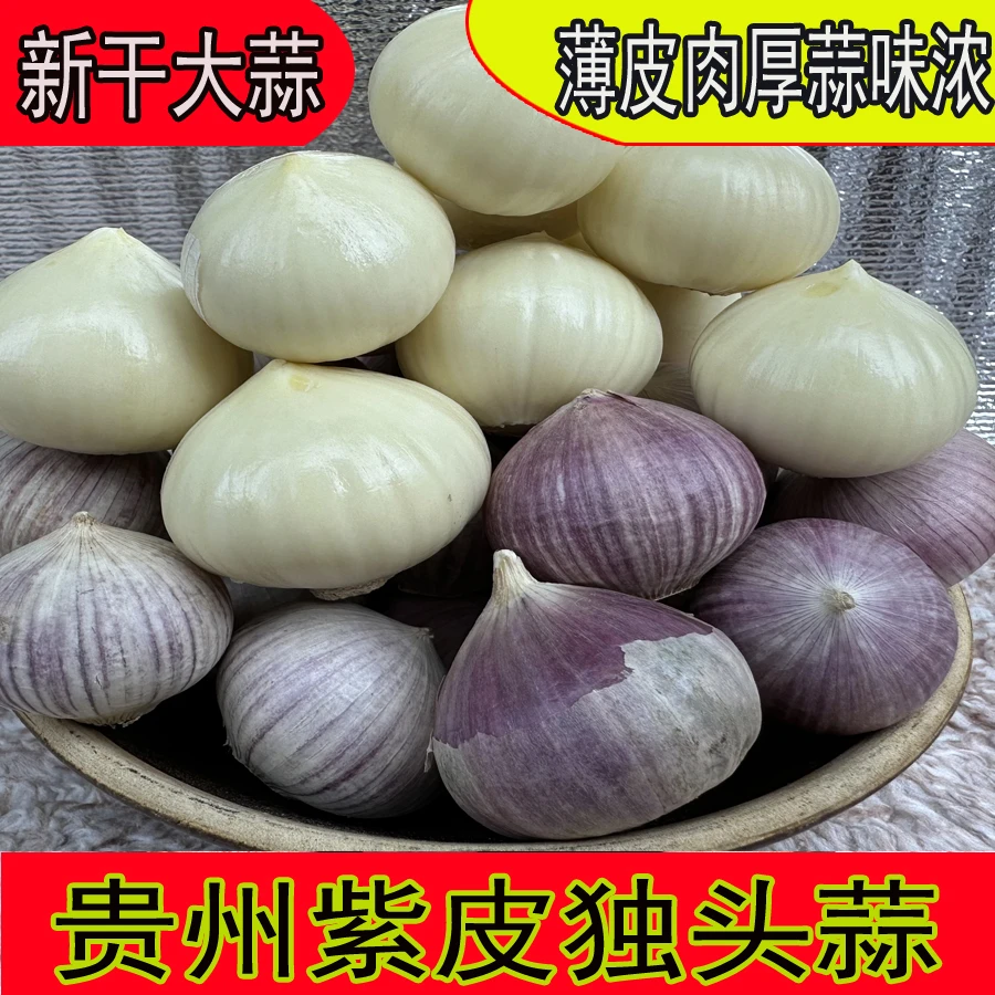 贵州农家独头蒜紫皮蒜蒜头红皮大香味足炒菜调味料饱满干蒜头包邮