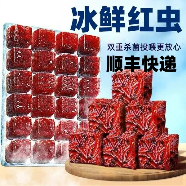 顺丰快递冷冻红虫丰年虾高蛋白营养新鲜鱼粮六角鱼兰寿七彩鱼食