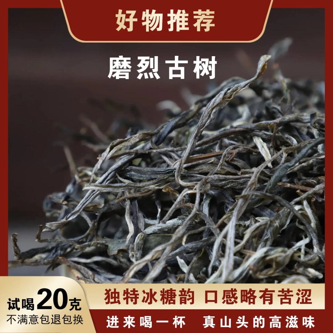 磨烈古树2023年春秋-普洱茶-生茶-散茶