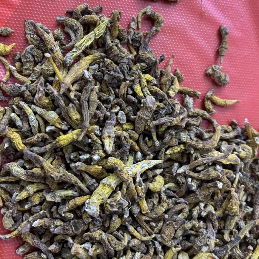 兴能收山货 伢斛香菇