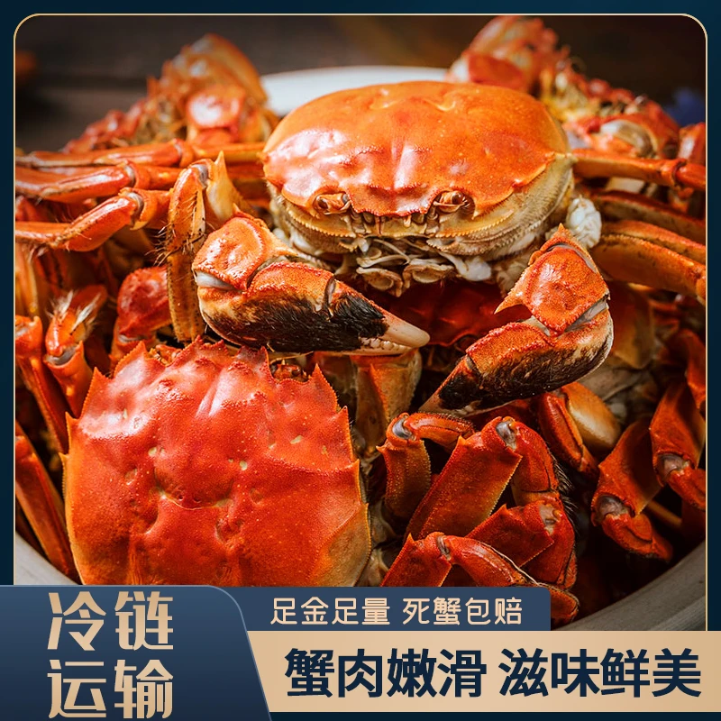 活蟹盘锦河蟹稻田蟹鲜活水产全母螃蟹0.8-1.两/只 2斤 20-24只