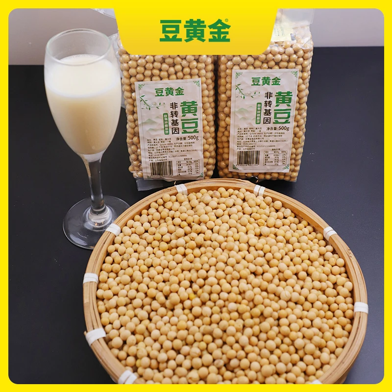 豆黄金非转基因大豆自有农场种植500g颗粒精品营养饱满精选