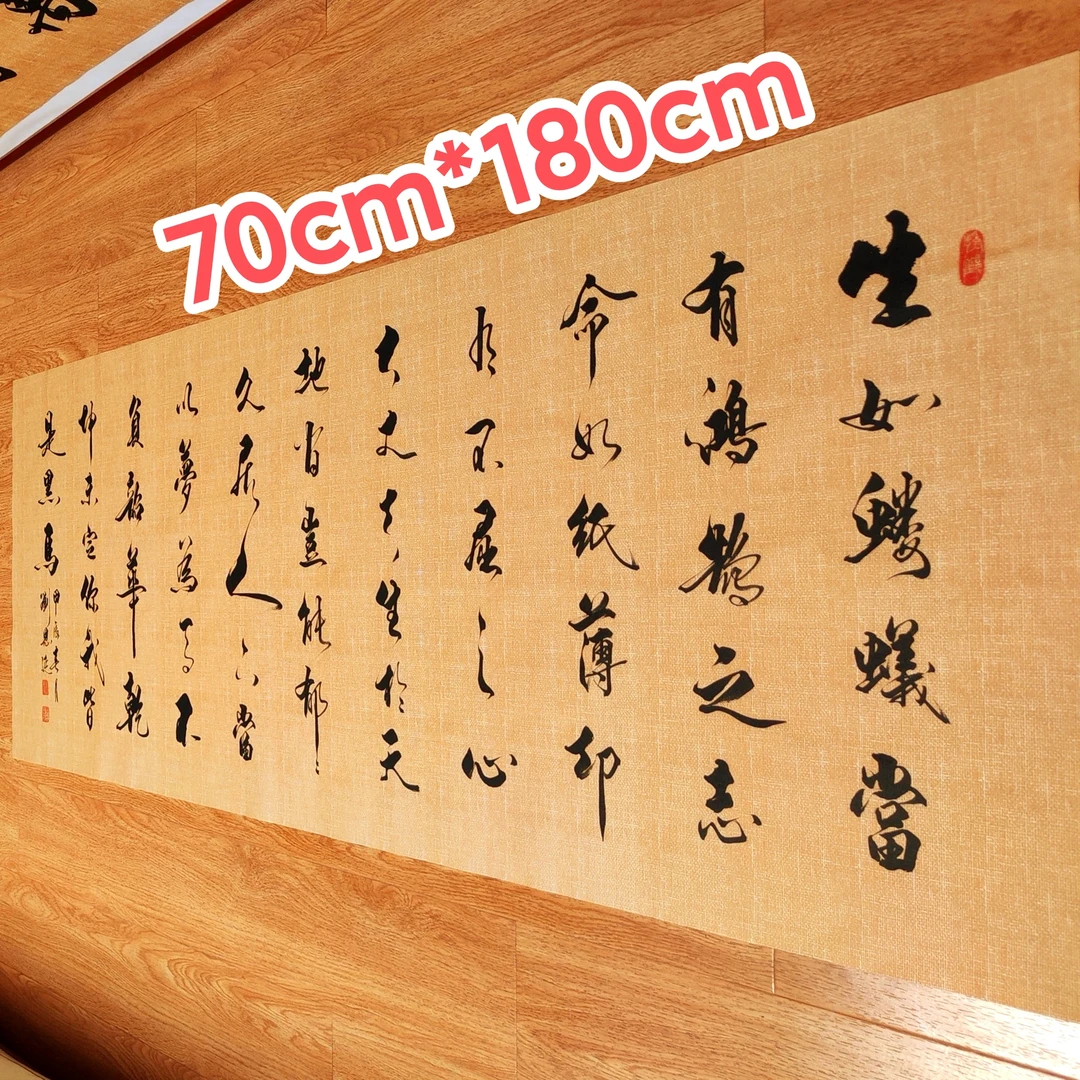 《生如蝼蚁》手写书法作品,未装裱尺寸70*180