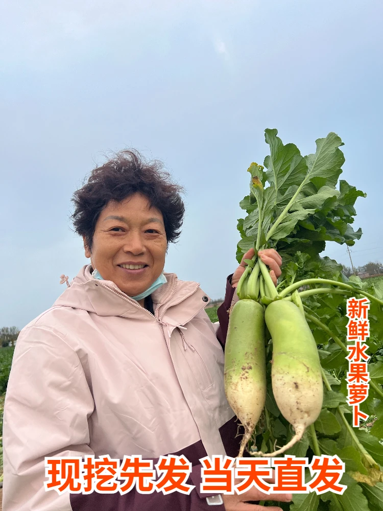 河南农家白萝卜本地新鲜蔬菜白皮长型大白萝卜水多脆嫩现挖包邮