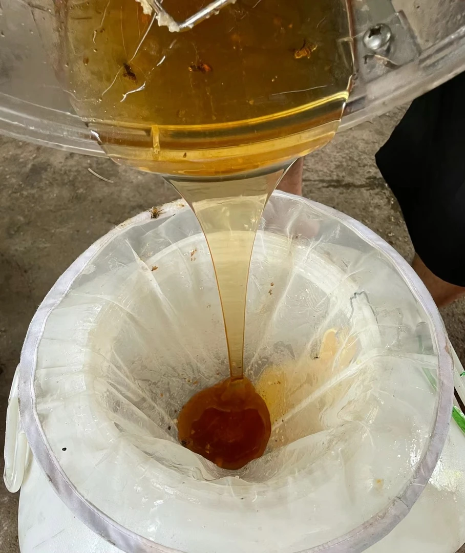 海南龙眼蜜3.2斤农家自产蜜蜂纯天然生态自产自销正品正宗老蜂农
