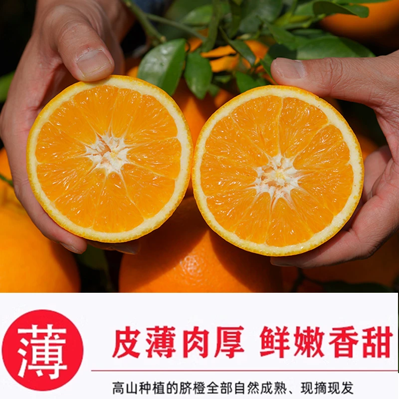 西域美农正宗赣南脐橙江西赣州皮薄肉多口感香甜爽口果大皮薄