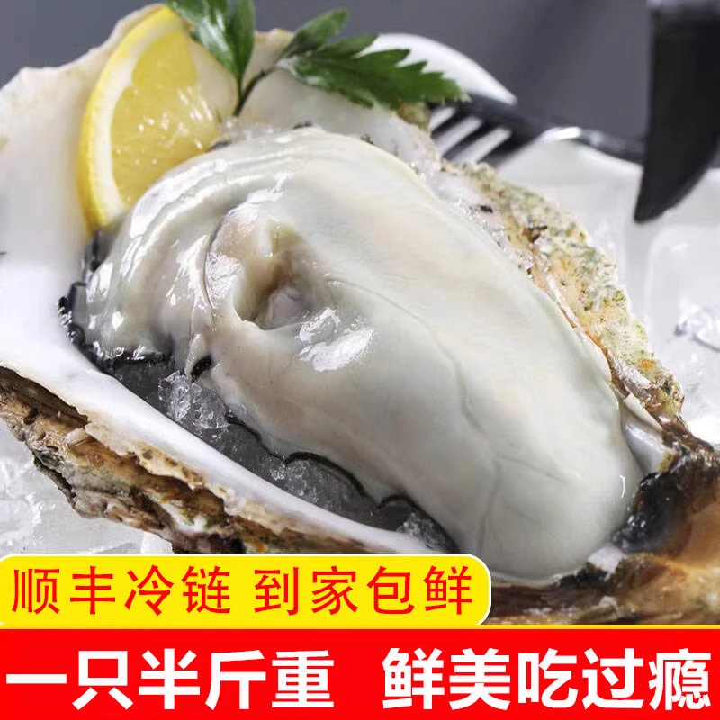大生蚝当季新鲜个大饱满源产地鲜活到家大海蛎子5两/3两/个