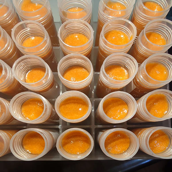 丰年虾大红卵幼虫鱼苗饲料高蛋白0.5ml/2ml超浓无水新鲜现孵养鱼