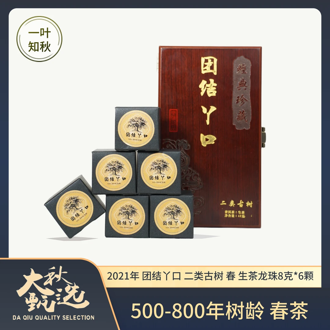 2021年 团结丫口 500-800年树龄 古树 春茶龙珠8克/颗
