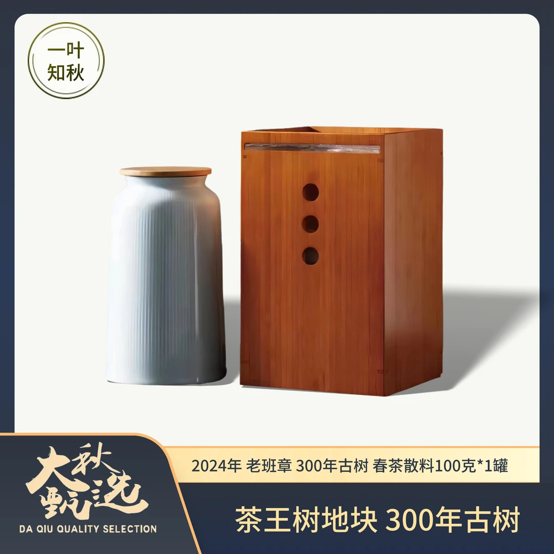 2024年 老班章 茶王树地块 300年古树春茶散料100克/罐（带茶样）