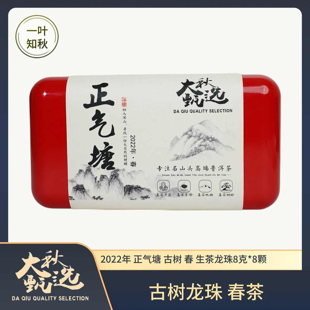 【新品上新】2022年 正气塘 古树 春茶 龙珠8克*8颗 普洱茶生茶龙珠