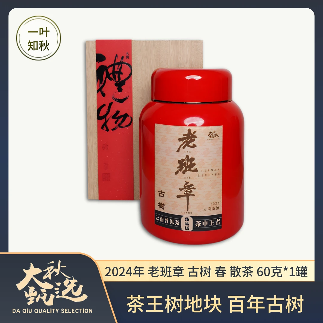 2024年 老班章 茶王树地块 100年古树挑采 春茶散料60克/罐