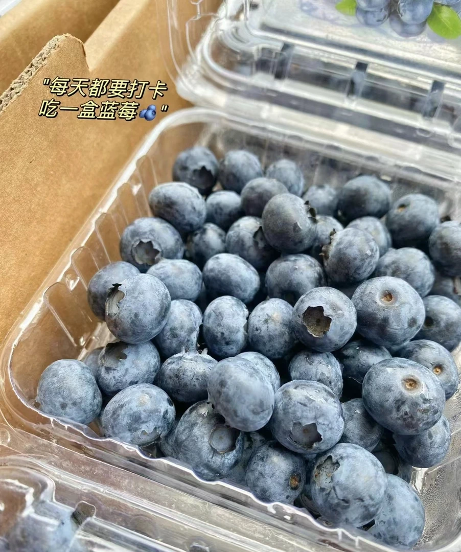 脆甜蓝莓一盒