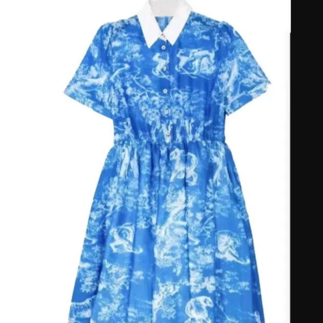 2025春夏新款宽松连衣裙碎花气质休闲夏季收腰-8013