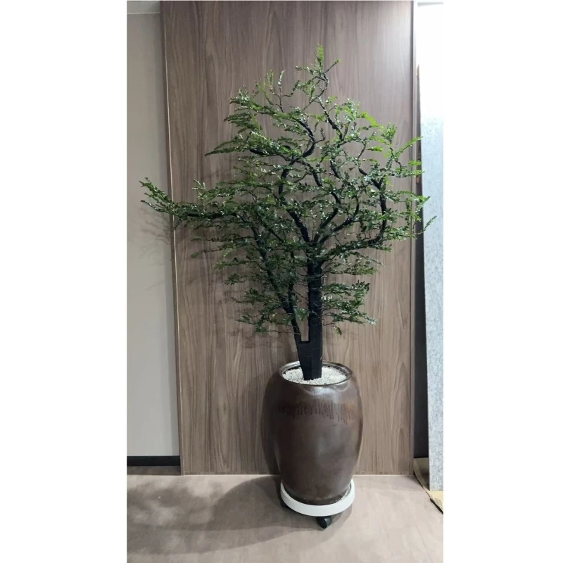 广东小叶紫檀盆栽 黑骨茶盆景 室内绿植办公室客厅盆栽 高端绿植