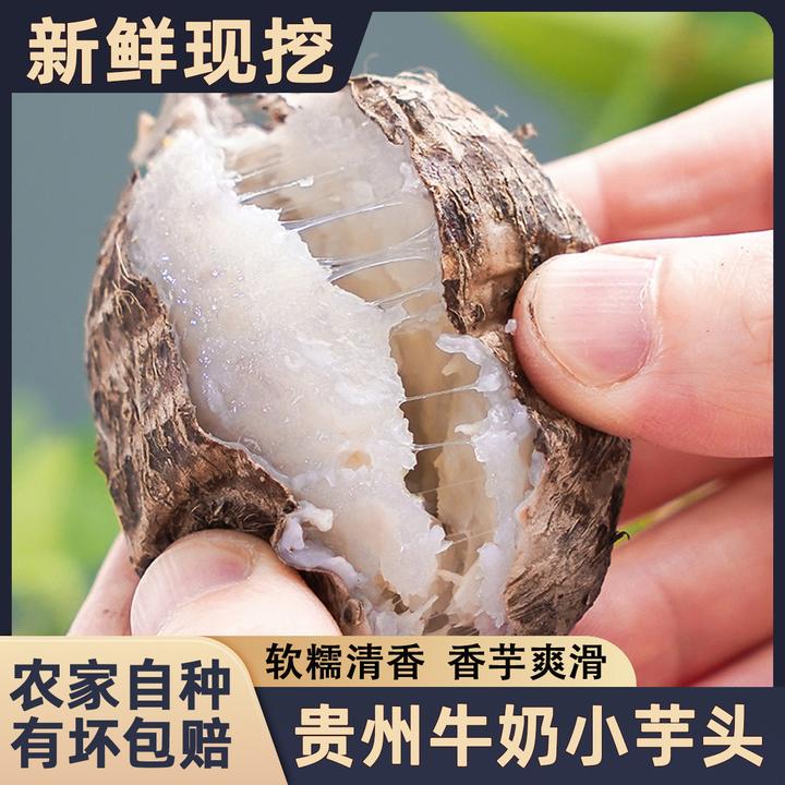 贵州新鲜芋头牛奶小芋头毛芋头软糯粉滑香芋艿芋仔高山时令蔬菜