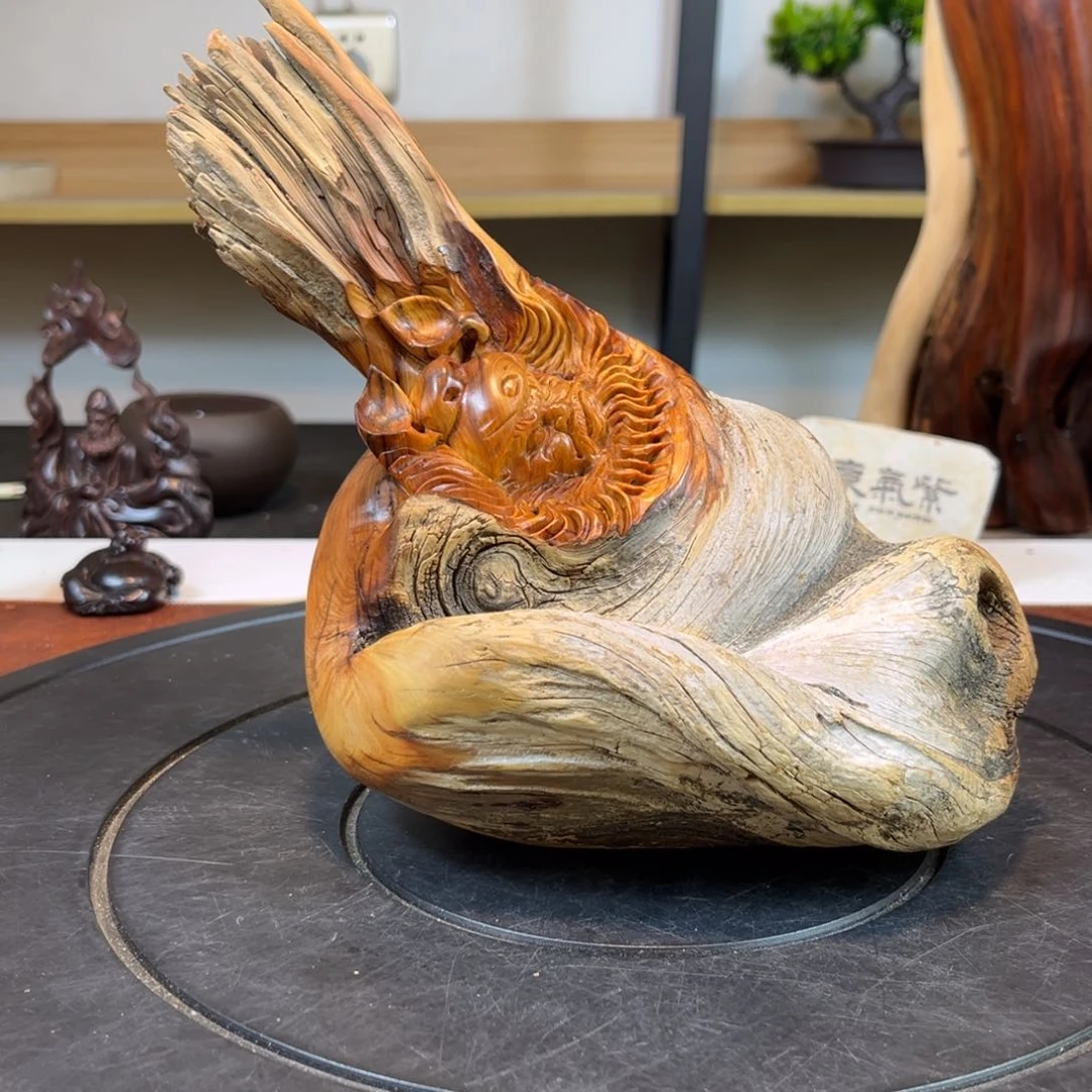 柏木（崖柏）c b n g g h g h j j j