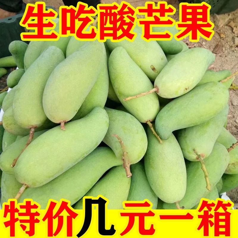 生吃酸芒果象牙芒5斤广西百色特产新鲜水果1/3斤四季酸脆青芒果1g