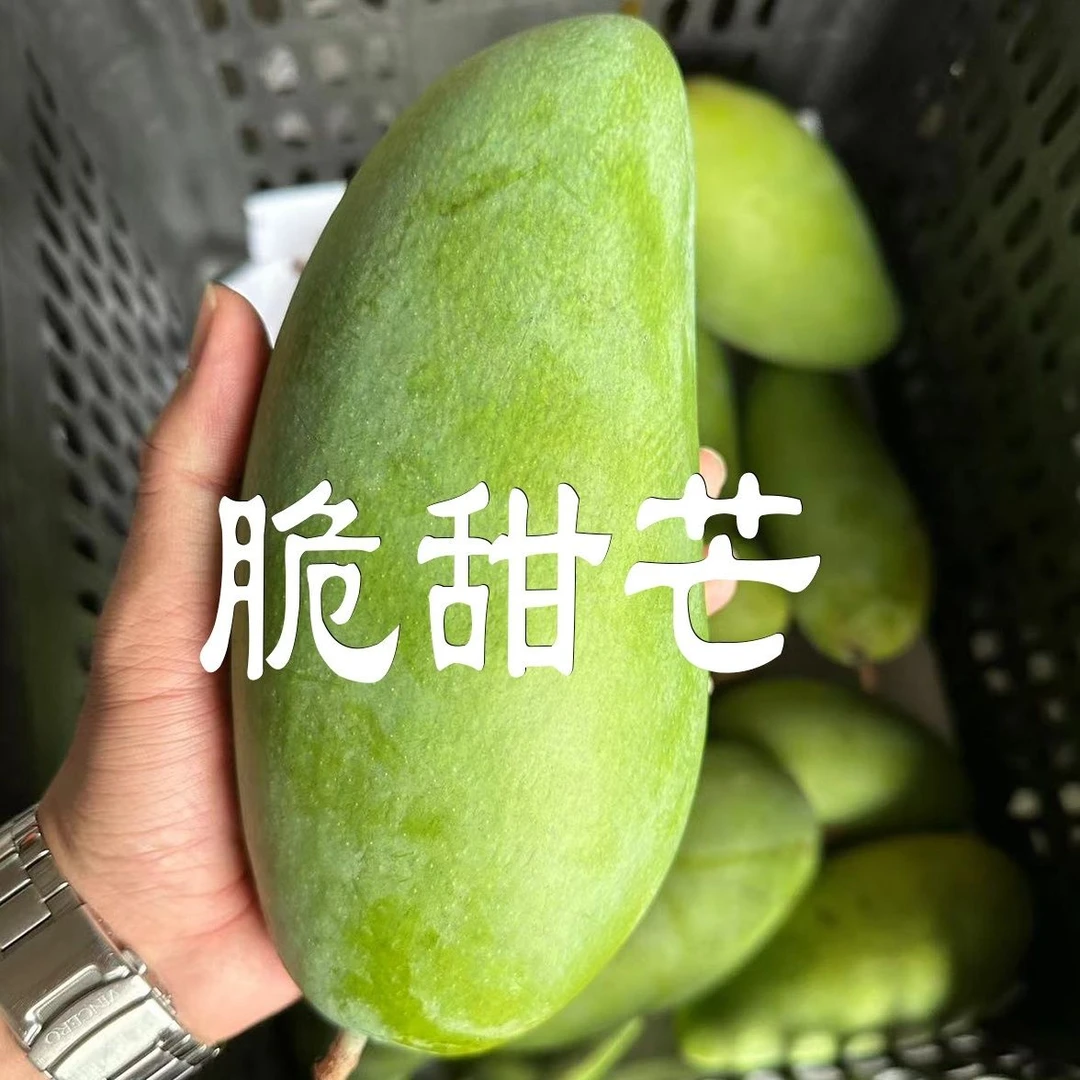新鲜越南大青芒脆芒果脆甜芒1g